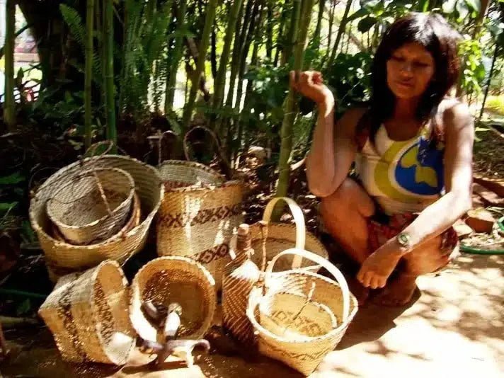 L'Origine du Maté : Histoire et Traditions d'une Boisson Millénaire - Sol à Sol