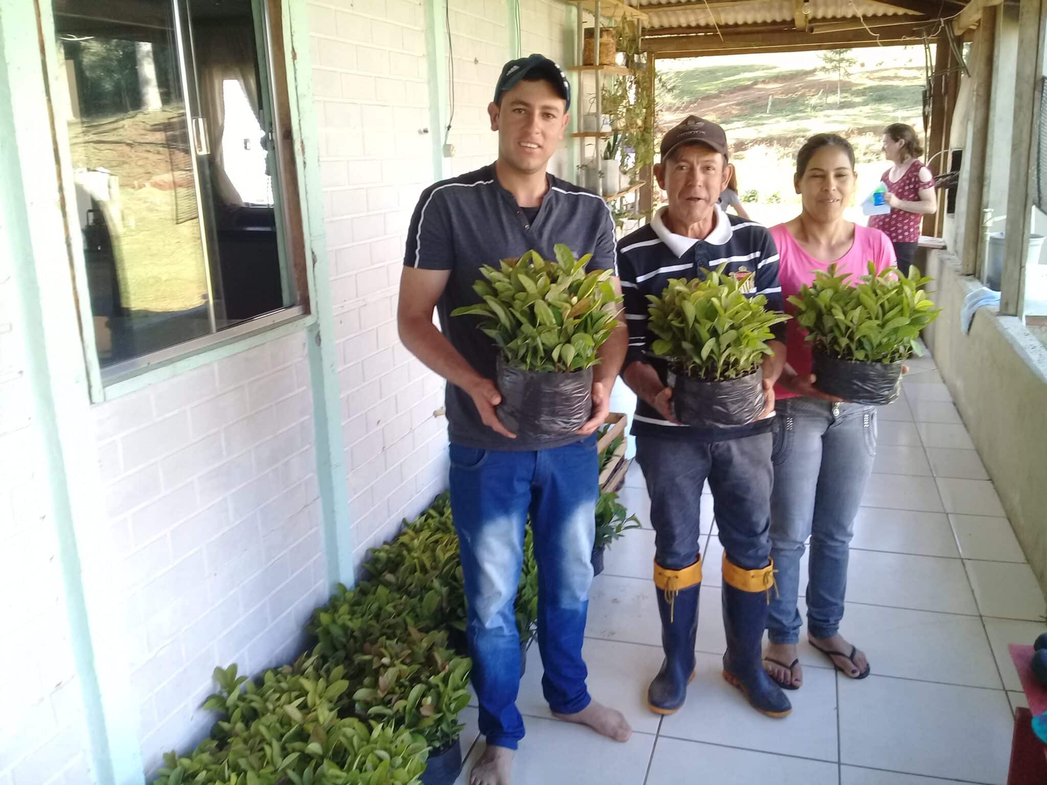 Producteurs de yerba maté - Sol à Sol