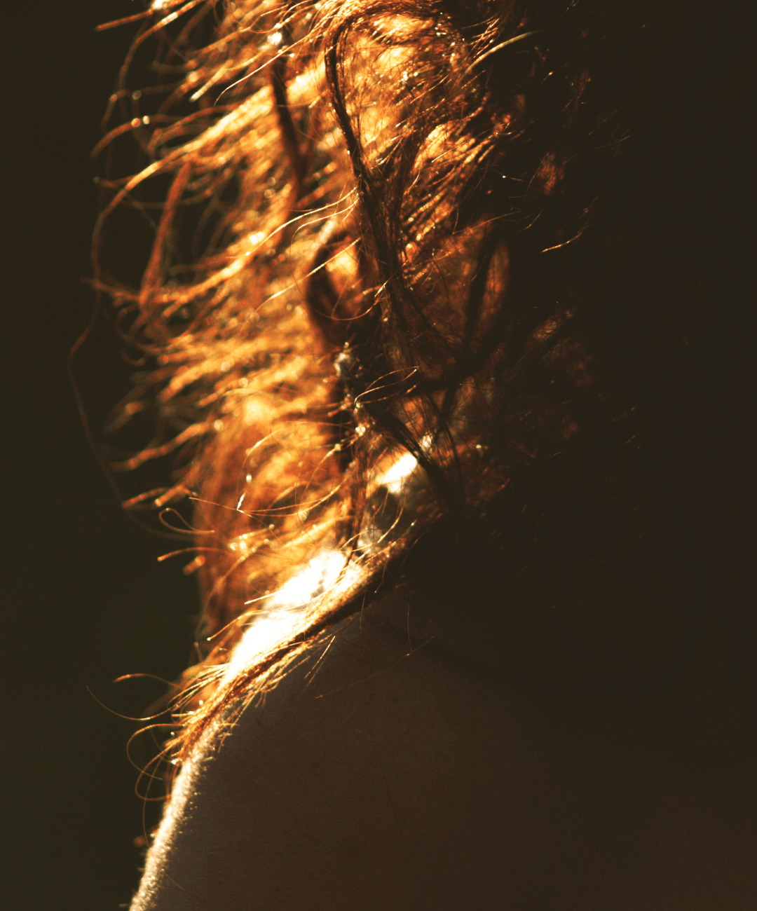 Bienfaits du Maté pour les Cheveux : Guide Complet pour une Chevelure Revitalisée - Sol à Sol