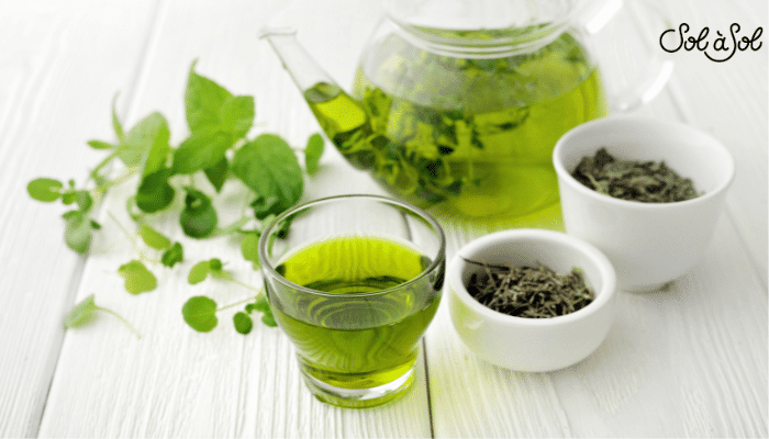 Combien de tasses de thé par jour : Guide Santé et Bien-être - Sol à Sol
