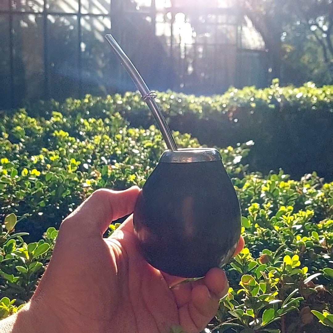Maté : Origine, Bienfaits et Comment le Consommer - Sol à Sol