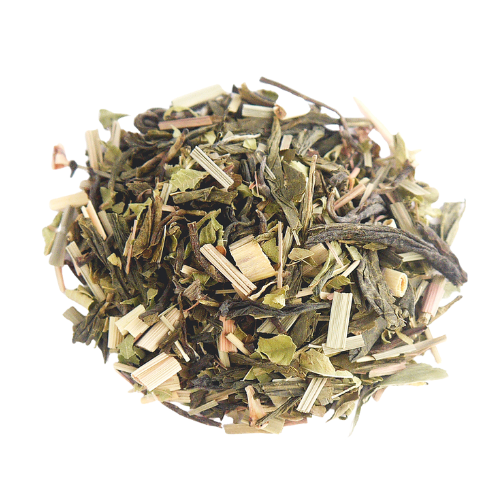 Au chant des cigales