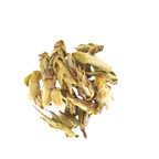 Bourgeons sauvages