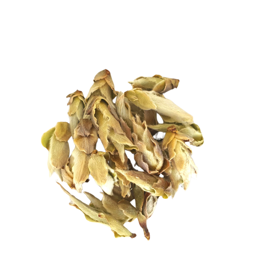 Bourgeons sauvages