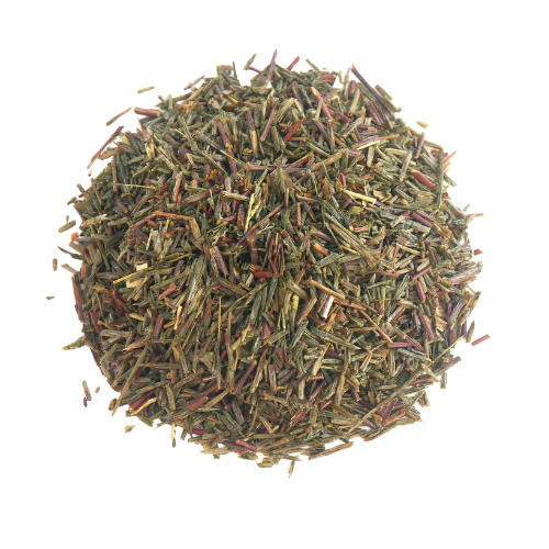 Rooibos vert