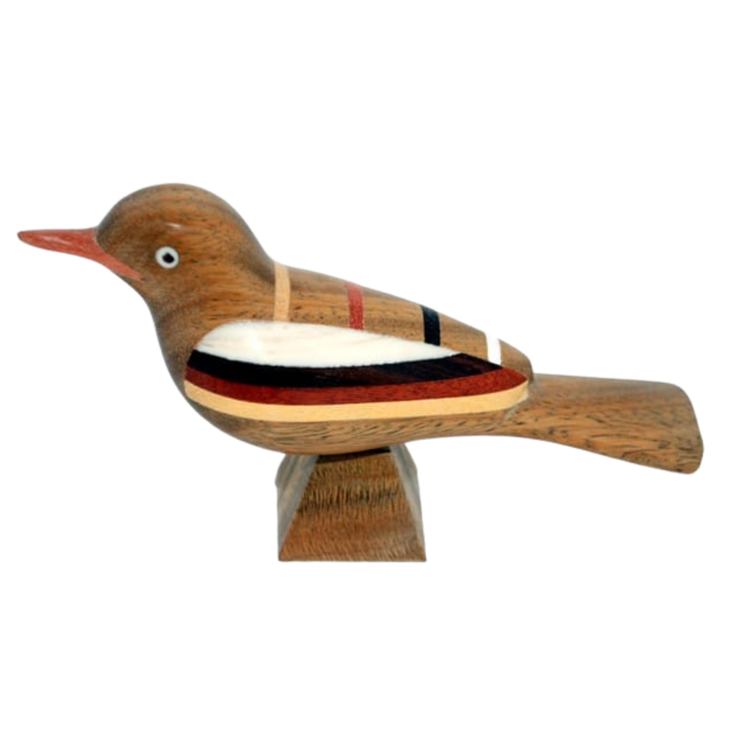 Oiseau 7 couleurs