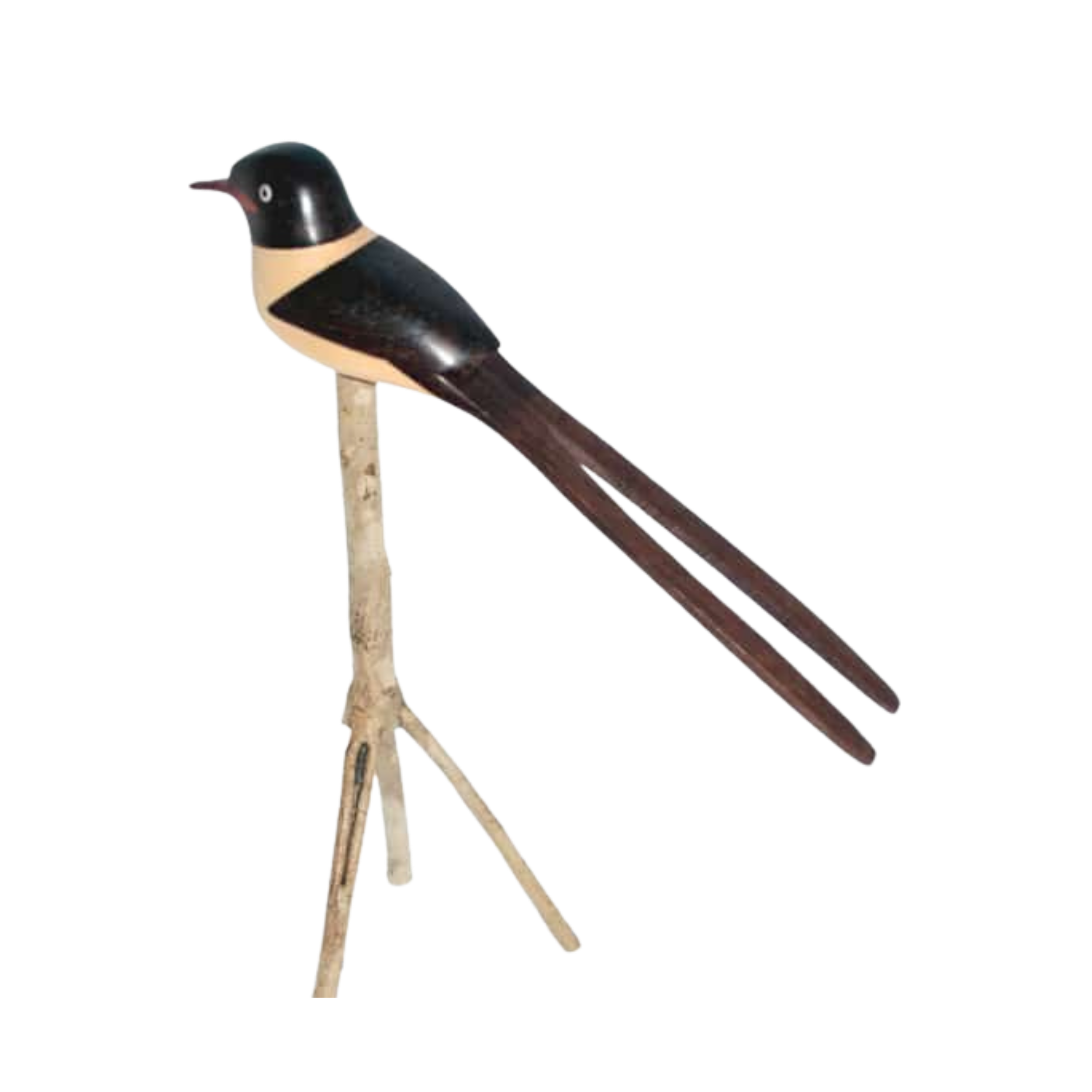 Tijereta