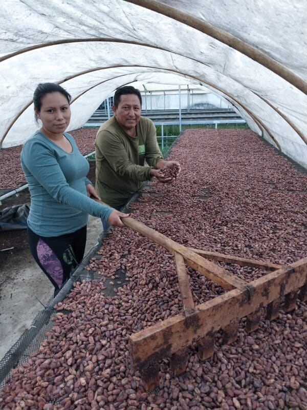 Prodcuteurs de cacao bio et des écorces pour infusion