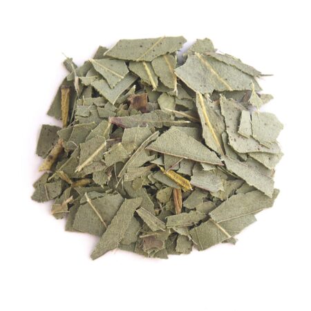 feuilles d'eucalyptus bio