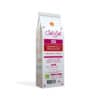infusion épicée en sachet