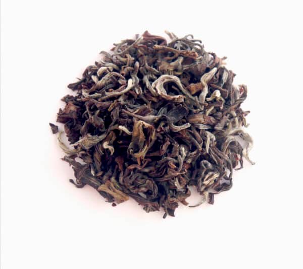 thé Oolong bio