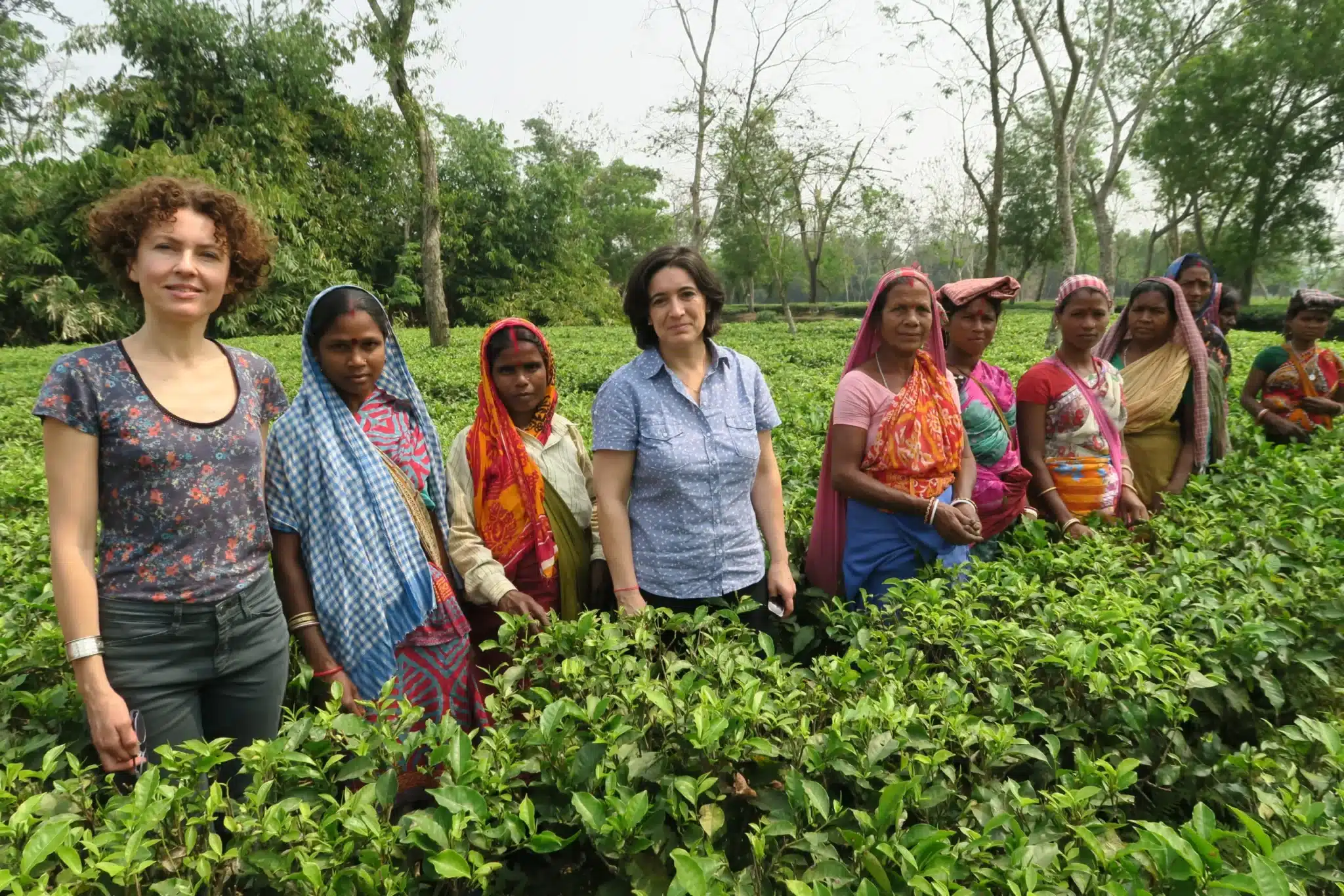 La scop sol a sol en visite dans les plantations de thé en Inde, Assam