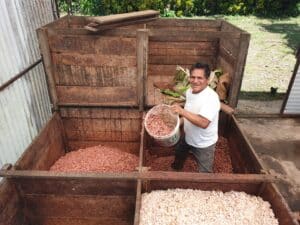 Etape de séchage des fèves cacao Sol à Sol